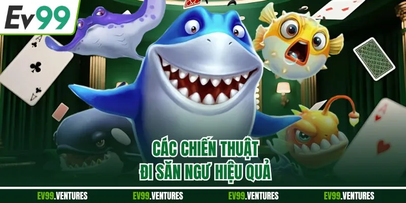 Các chiến thuật đi săn ngư hiệu quả